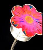 fleurhol :: #